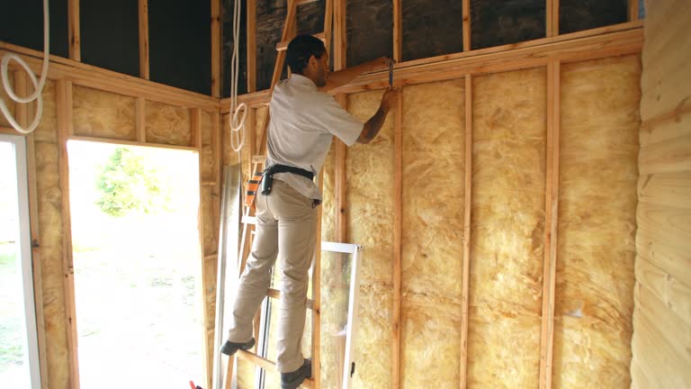 Best Eco-Friendly or Green Insulation Solutions  in Melvindale, MI