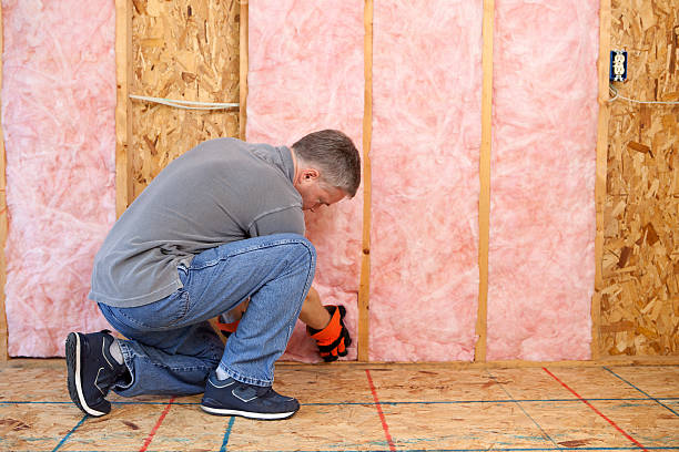 Best Attic Insulation Installation  in Melvindale, MI